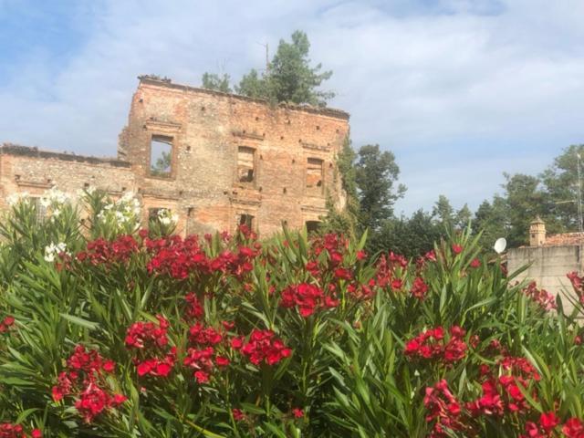 Antico Borgo Di Liteggio Bed & Breakfast Cologno al Serio ภายนอก รูปภาพ